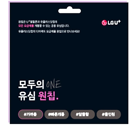 LG 모두의 원칩 포장